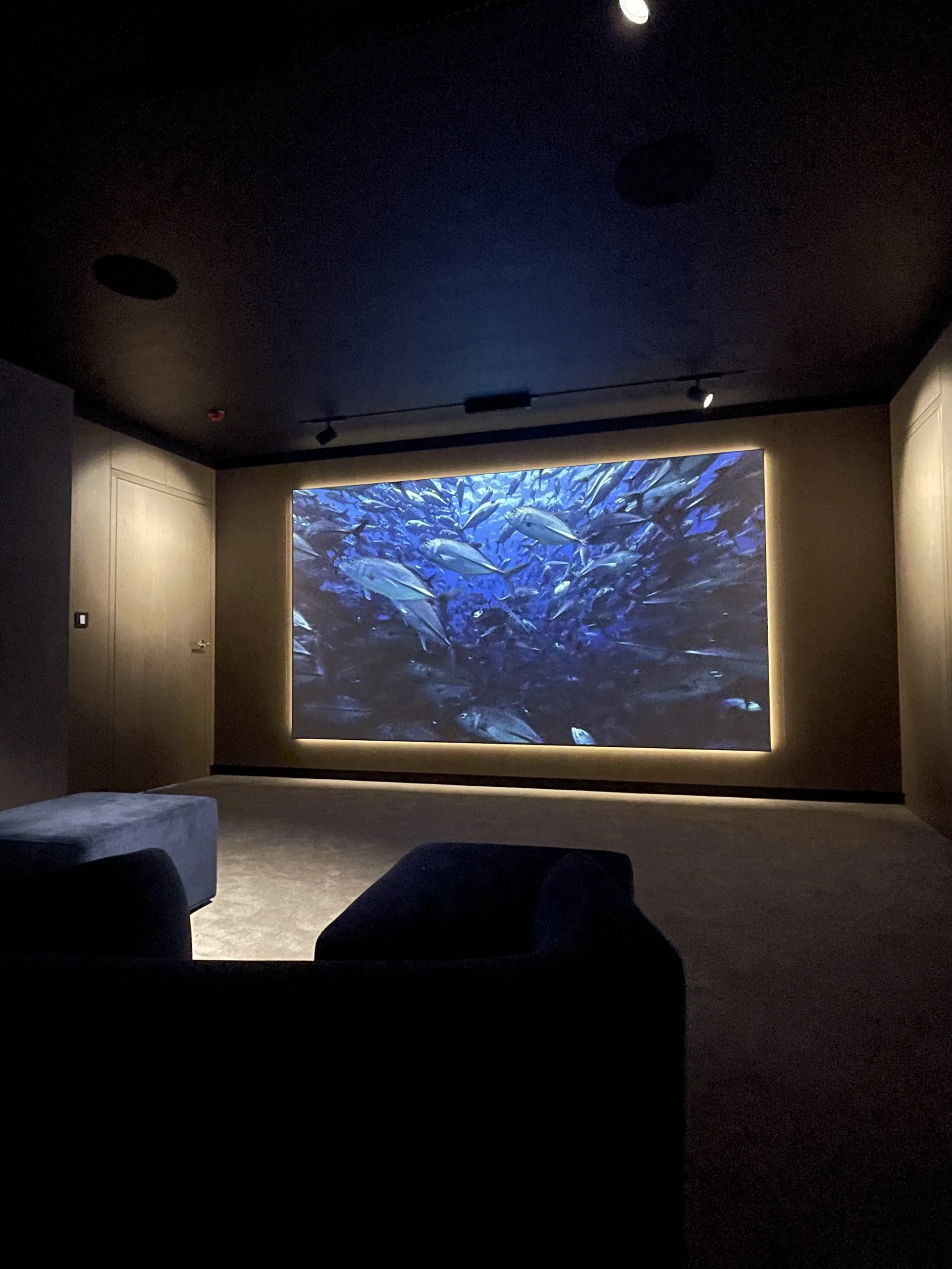 A dark home cinema